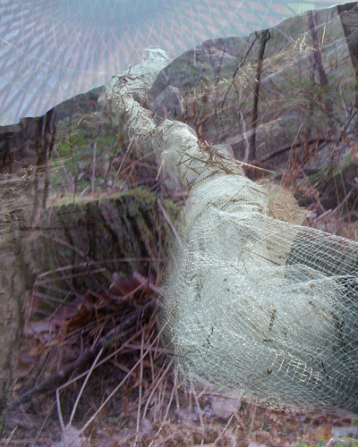 04 Debris Cathcher2 copy