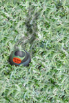 e l'uovo del dragone, Dan Barowy