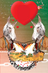 Donkey for Two, Adam Barowy