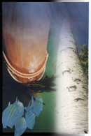 dock, Karen H. Olson