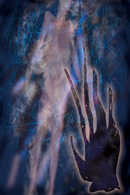 Willow Jist, Karen H. Olson